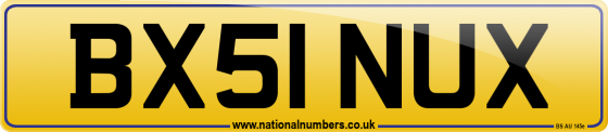 BX51 NUX