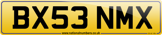 BX53 NMX