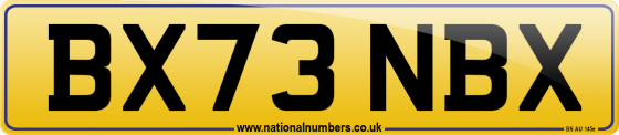 BX73 NBX