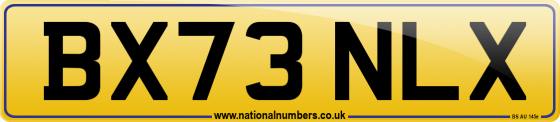BX73 NLX