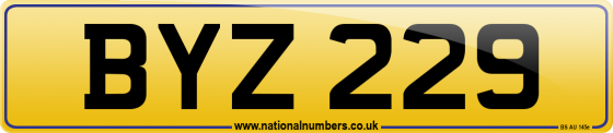 BYZ 229