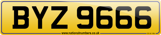 BYZ 9666