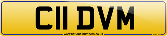 C11 DVM