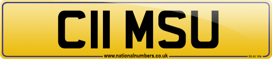 C11 MSU