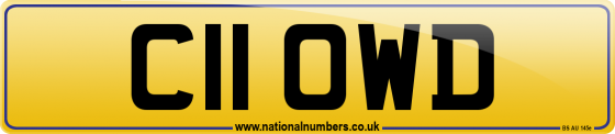 C11 OWD