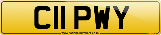 C11 PWY