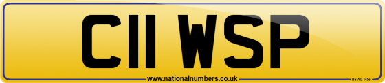 C11 WSP