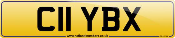 C11 YBX