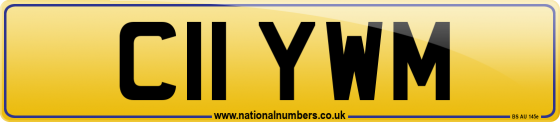 C11 YWM
