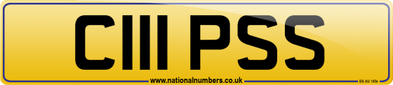 C111 PSS