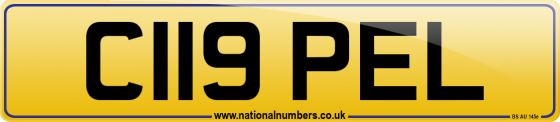 C119 PEL