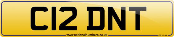 C12 DNT