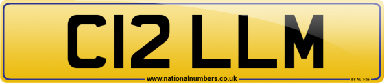 C12 LLM