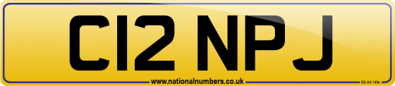 C12 NPJ