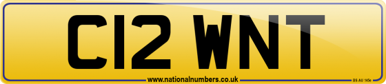 C12 WNT