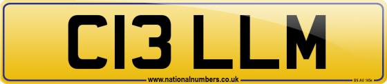 C13 LLM