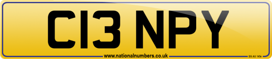 C13 NPY