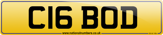 C16 BOD