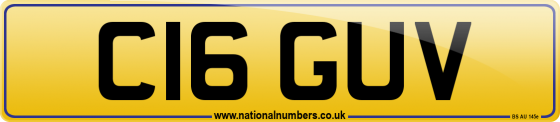 C16 GUV