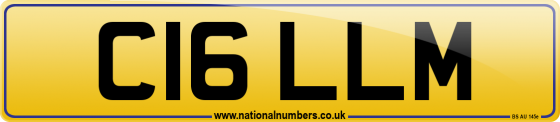 C16 LLM