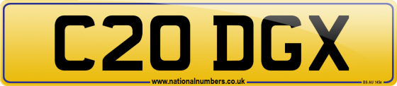 C20 DGX