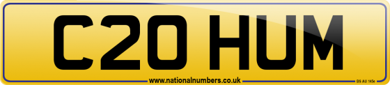C20 HUM