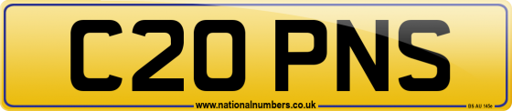 C20 PNS