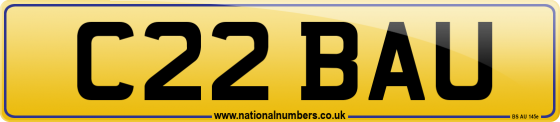 C22 BAU