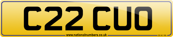C22 CUO