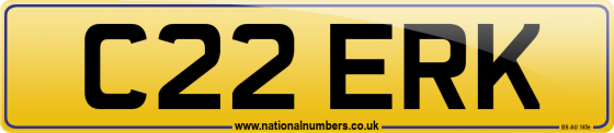 C22 ERK
