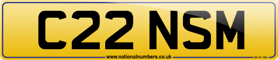 C22 NSM
