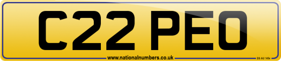 C22 PEO