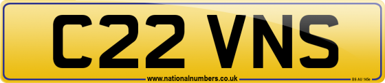 C22 VNS