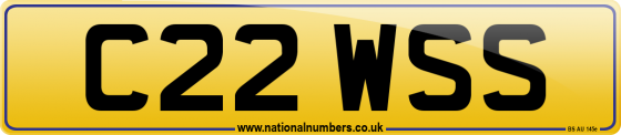 C22 WSS