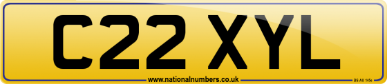 C22 XYL