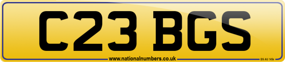 C23 BGS