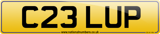 C23 LUP