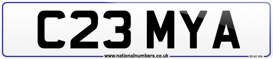 C23 MYA