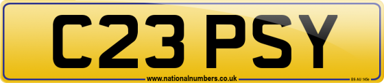 C23 PSY