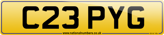 C23 PYG