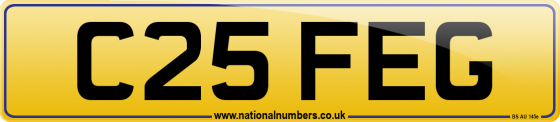 C25 FEG