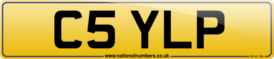 C5 YLP