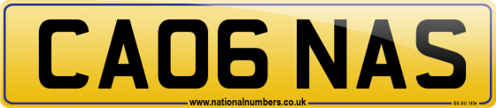 CA06 NAS
