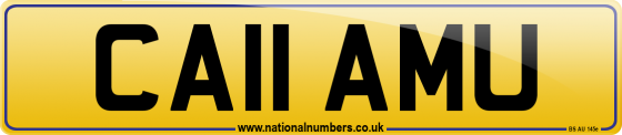 CA11 AMU