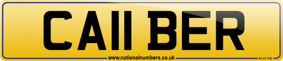 CA11 BER
