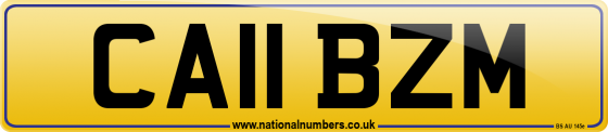 CA11 BZM