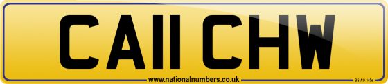 CA11 CHW