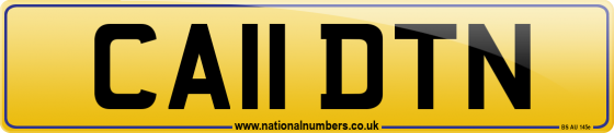 CA11 DTN