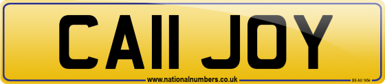 CA11 JOY