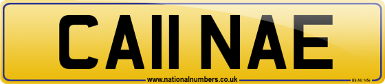 CA11 NAE